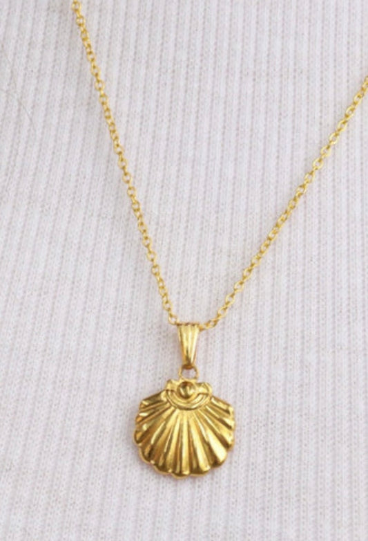 Necklace - Shell pendant